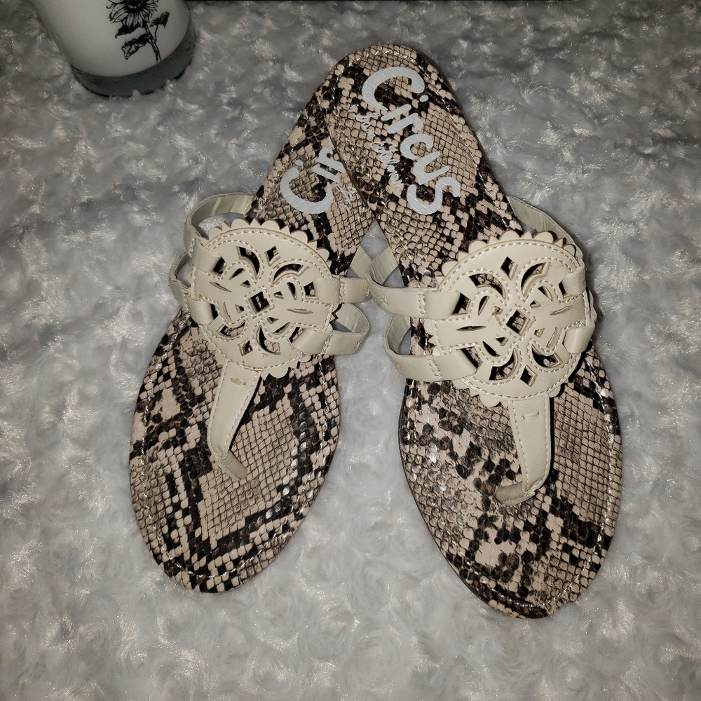 Circus by sam edelman medallion sandals